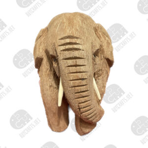 Coconut Carved Elephant